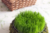diy-easter-basket-filled-with-real-grass-8