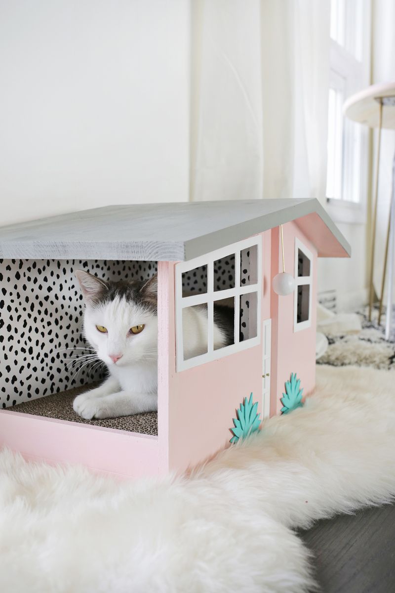 Picture Of diy palm springs inspired kitty scratch house  1