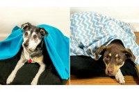 diy-snuggle-pet-bed-for-blanket-lovers-6