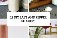 12-diy-salt-and-pepper-shakers-cover