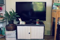 DIY TV stand with doors