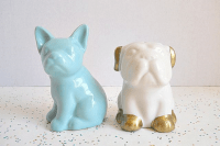 DIY glitter pup shakers