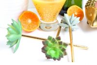 diy-mini-succulent-drink-stirrers-for-parties-4