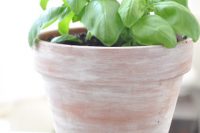 DIY whitewashed terra cotta pots
