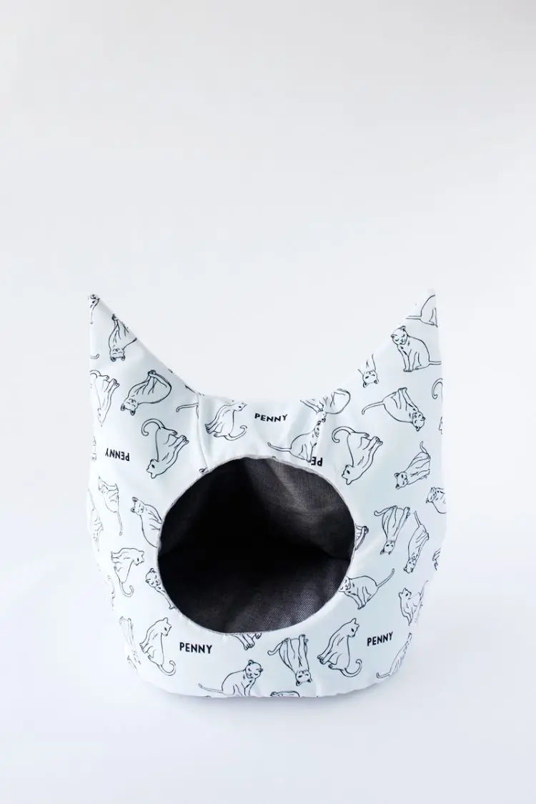 DIY Personalized Cat Dig With Cute Ears