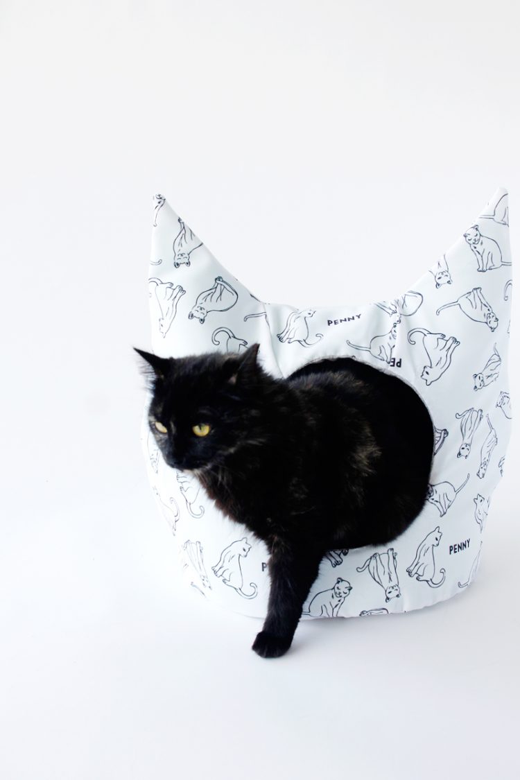DIY Personalized Cat Dig With Cute Ears
