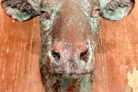 DIY patina metal cow head