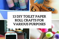 13-diy-toilet-paper-roll-crafts-for-various-purposes-cover
