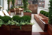 18 potted plants rooftop garden