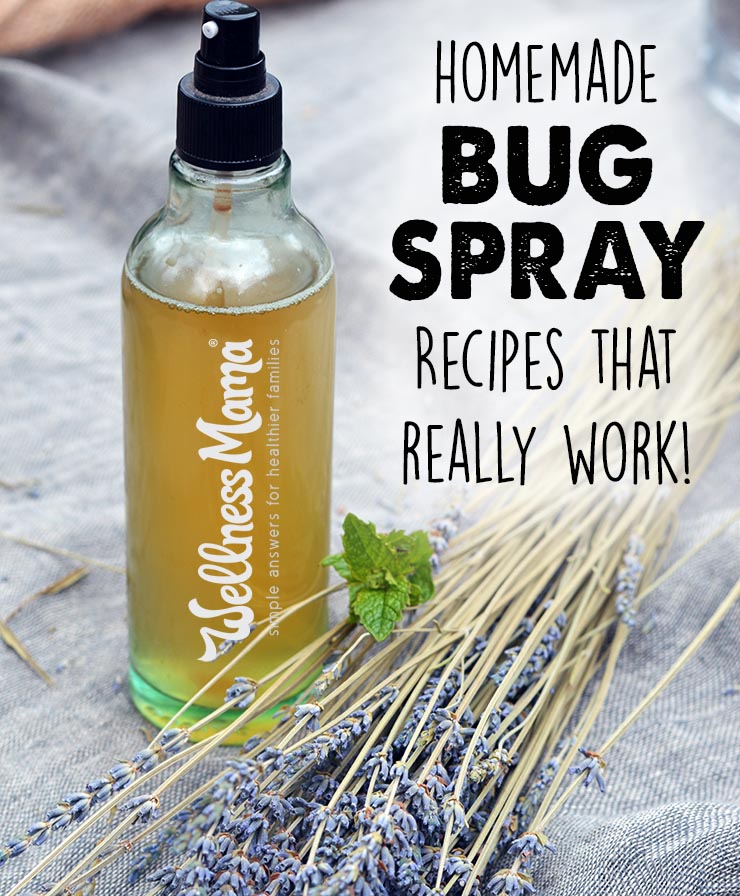 DIY dried herbs bug spray