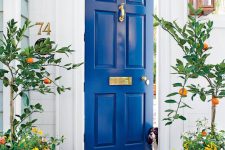 23 dazzling blue front door and blue pots with fruit