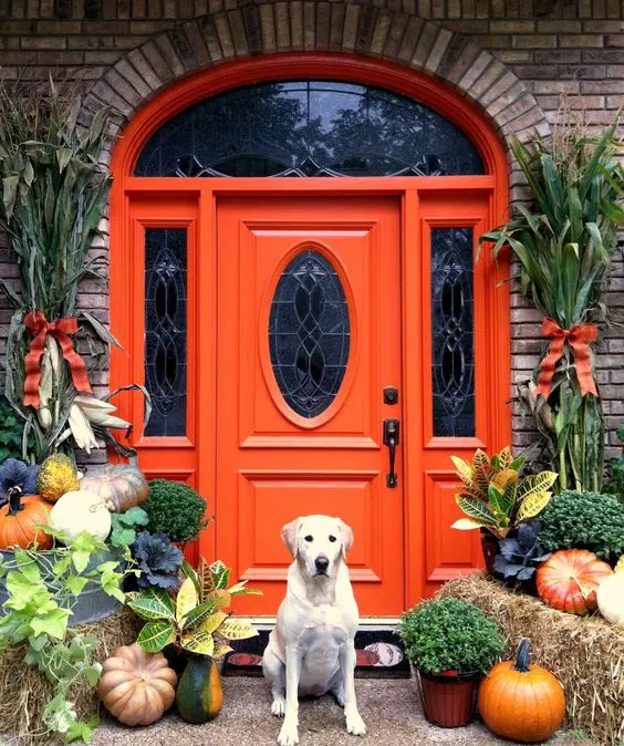 vintage orange front door with a glass pane and pumpkins highlighting it