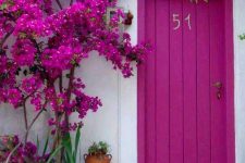 27 bold fuchsia front door with bougainvilleas of the same color