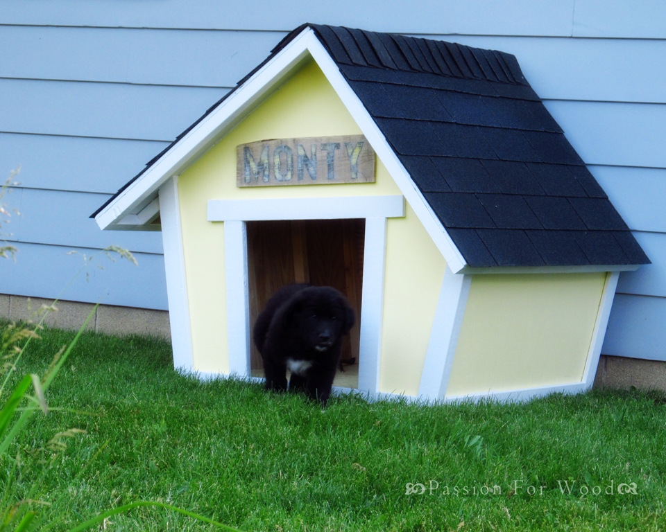 DIY crooked dog house
