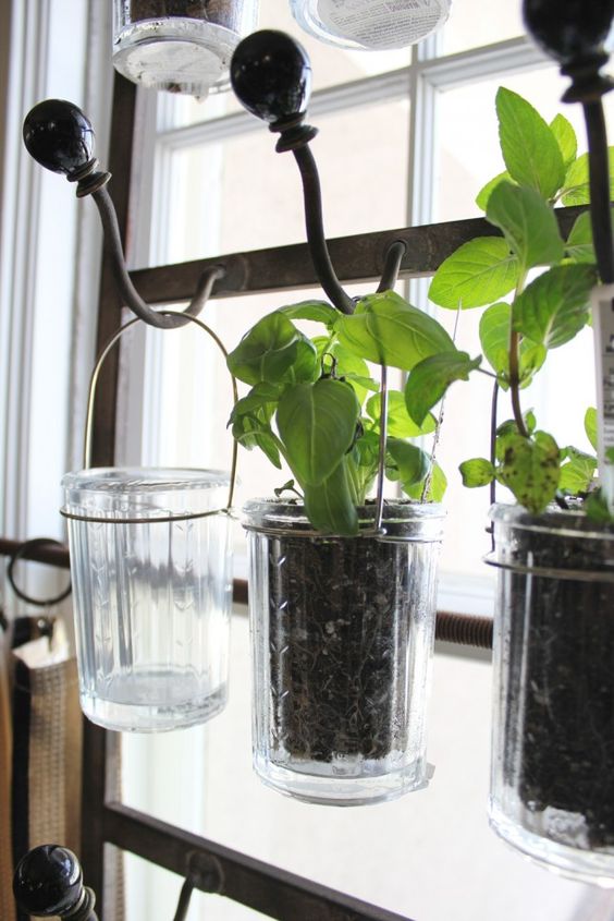 indoor hanging herb garden using glass jars