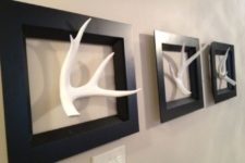 24 framed antlers as a wall art