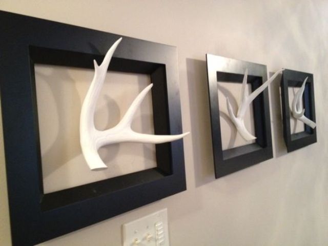 framed antlers as a wall art