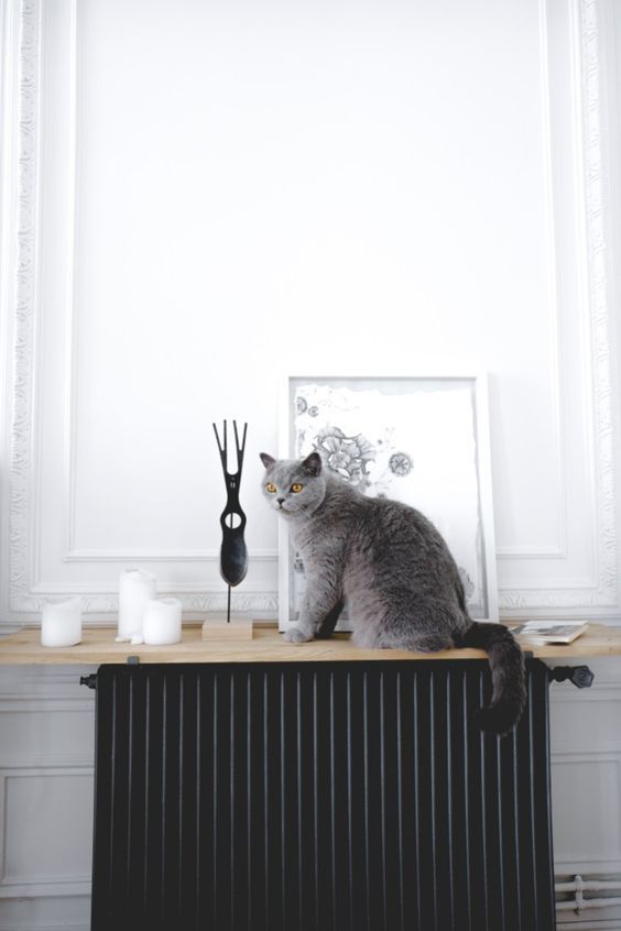 a Nordic space with a black radiator and a light stained shelf with decor and candles plus a cat sitting there