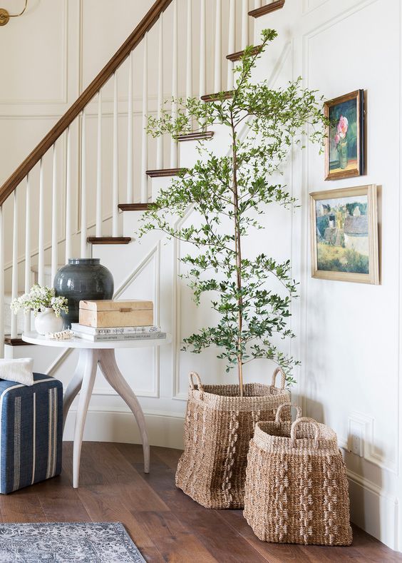 a basket for decor and a basket cover for the planter will add a bit of coziness to the space and make it more welcoming
