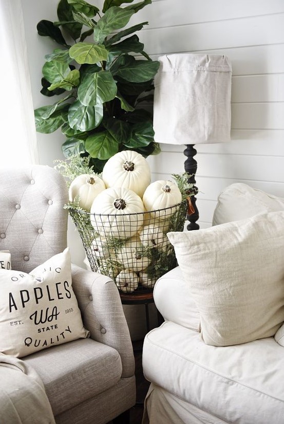 a metal wire basket fulled with white pumpkins and greenery for a vintage inspired space