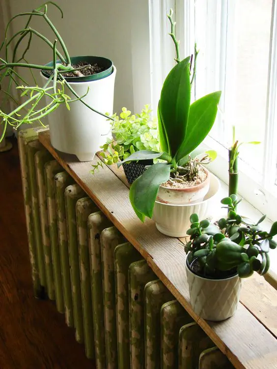 a radiator covered with a stained shelf that is used as a plant stand are a cool combo for a window with no windowsill