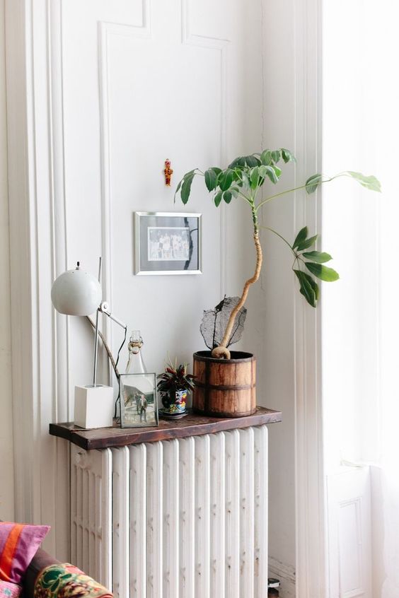 a small white radiator with a dark stained shelf and some decor and plants on it is a cool solution for a modern space