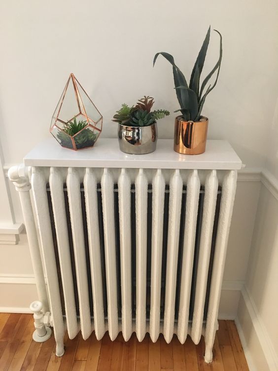 a white radiator with a white shelf on top that is used as a plant display is a cool piece that isn’t an eye sore in the space