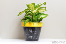 DIY potted plant in a personalized planter