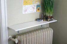a wall-mounted shelf over the radiator to display things and plants is a cool idea to get some storage space and cover an eye-sore