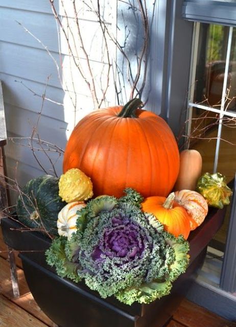 branches from the yard and pumpkins and gourds in a large container comprise a cool decoration