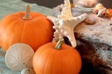 21 driftwood, pumpkins, sea creatures and candles