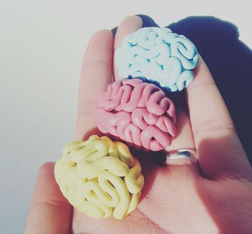 make pastel brains of polymer clay to decorate the space