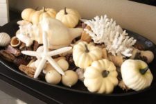 24 pumpkins, corals and seashells go surprisingly well together