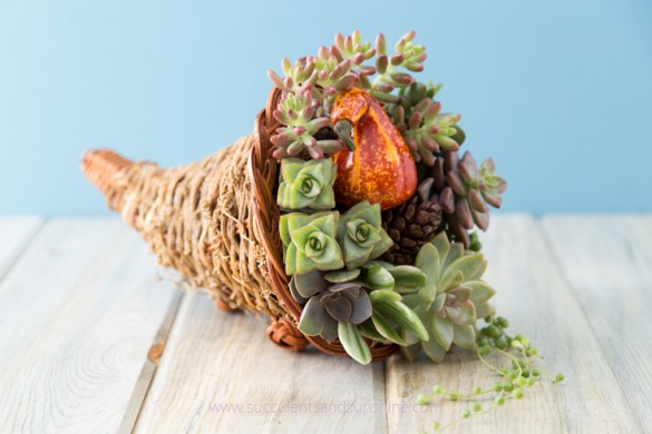 DIY cornucopia filled with succulents and pinecones as a centerpiece (via www.succulentsandsunshine.com)
