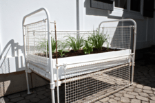 DIY herb garden of an antique crib