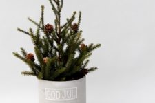 an all-natural Christmas tree in a box with some pinecones and a concrete planter is a cool idea for a minimalist or Scandinavian space