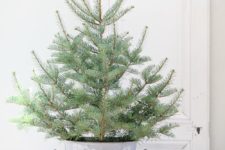 a small Christmas tree in a bucket with no decor is ideal for any rustic space
