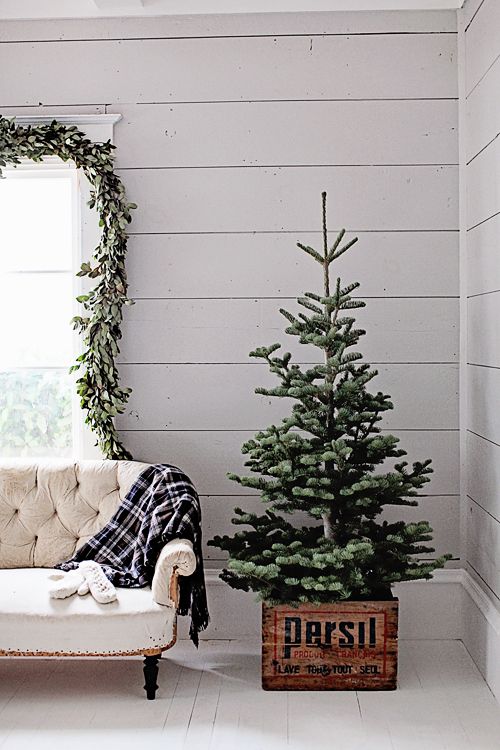 small tree in a vintage farmhouse crate