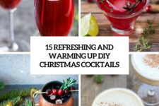 15 refreshing and warming up diy christmas cocktails cover