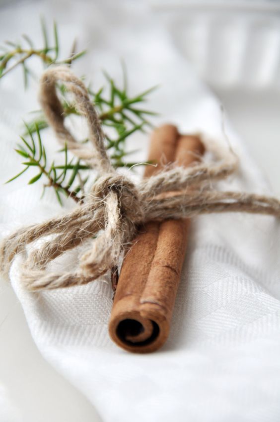twine, cinnamon and evergreen twigs can be a unique napkin ring