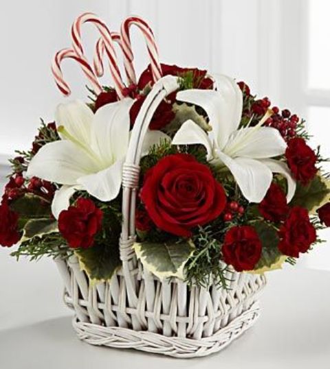 whitewashed basket with red and white flowers and candy canes