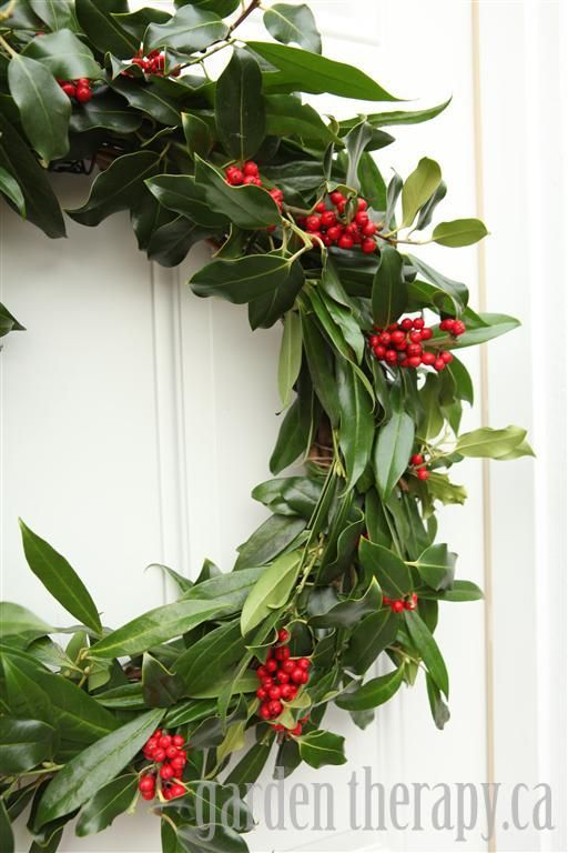fresh holly wreath is ideal for the holiday but won't last that long