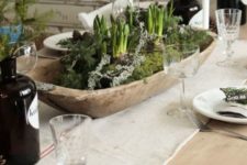 22 a wooden bowl with moss and bulbs for a centerpiece