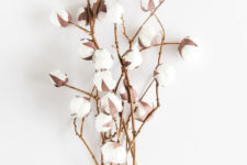 How to make your own cotton plants yourself