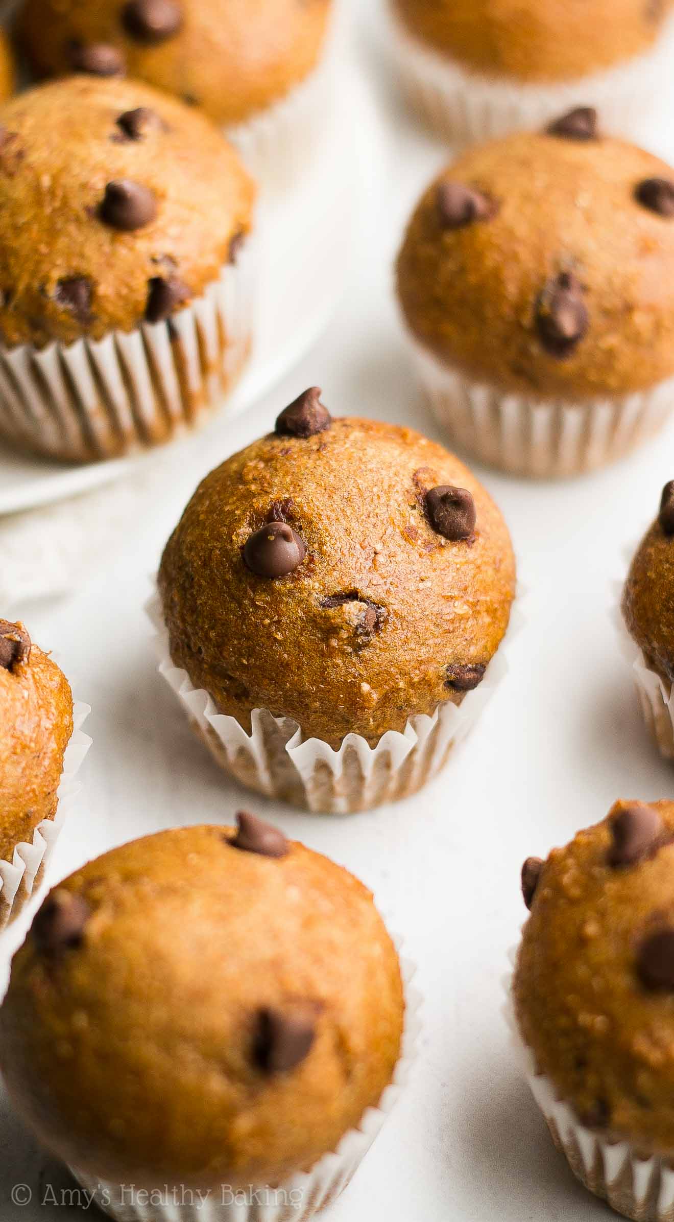 DIY chocolate chip gingerbread mini muffins (via amyshealthybaking.com)