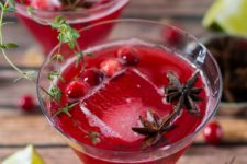 DIY spiced sparkling cranberry punch