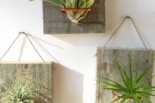 06 hanging boards with copper wire to display air plants