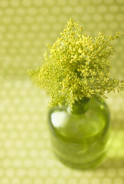 greenery glass vase