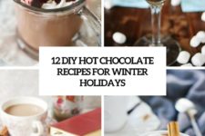 12 diy hot chocolate recipes for winter holidays cover