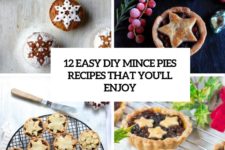 12 easy diy mince pies recipes that youll enjoy cover